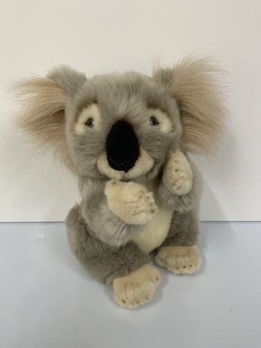 Paws koala bear soft cuddly - paws,