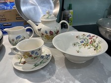 RARE Emma Bridgewater Wild