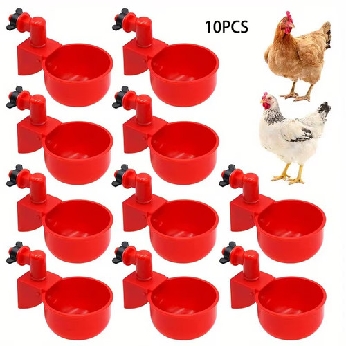 Automatic chicken water - chicken,