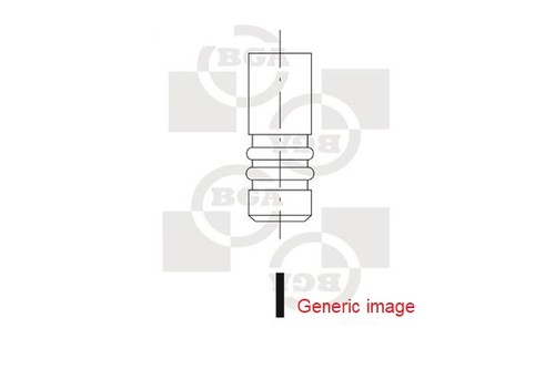 Bga v165311 exhaust - bga, valve