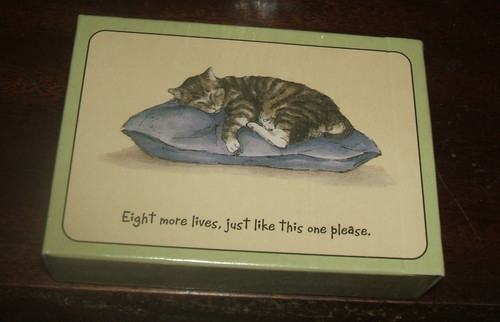 The magnificent moggies - the,