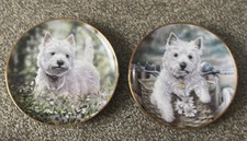 Danbury Mint Westies Bluebell Trail & hitch a ride Collectors Plate Paul Doyle 