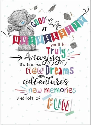 Bear with graduation - bear,