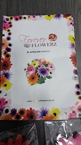 Craft buddy forever flowerz - buddy,