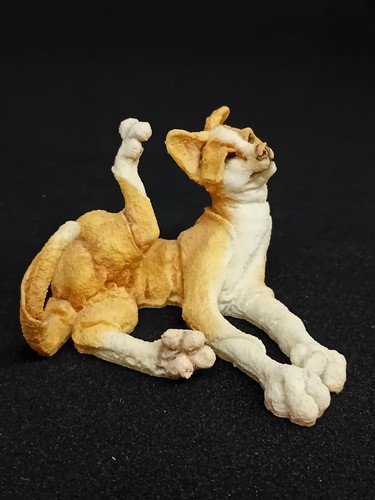 Breed apart cat - breed,