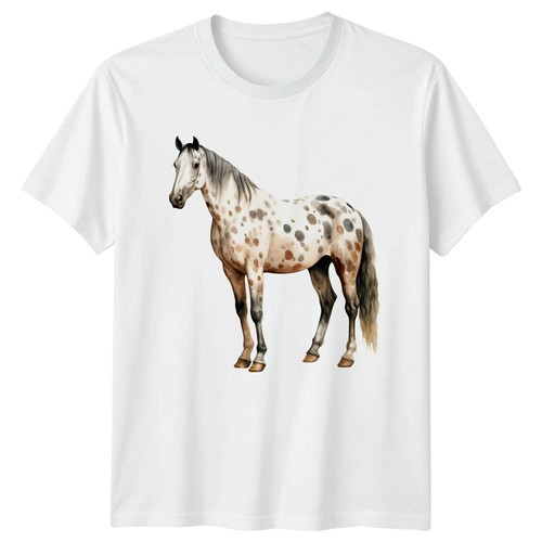 Watercolor appaloosa horse - appaloosa,