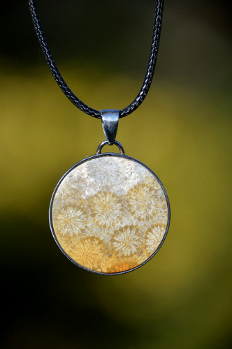 Stunning fossil coral - stunning,
