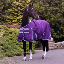 Ventomasta 100g Lightweight