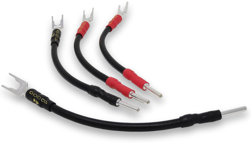 Chord signature speaker links - signature,
