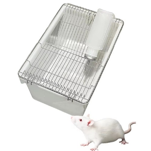Mouse rat rodent cage with - rodent,