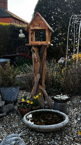 Brand new wooden bird - new,