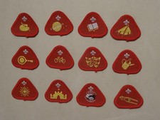 Cub Scout Proficiency/Activity
