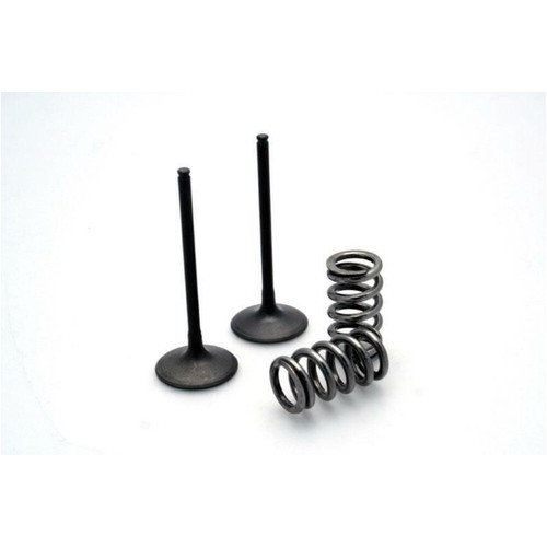 Exhaust valve kit - exhaust,