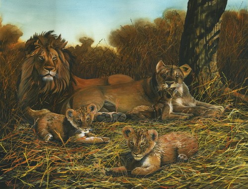 Mothers pride lion - pride,