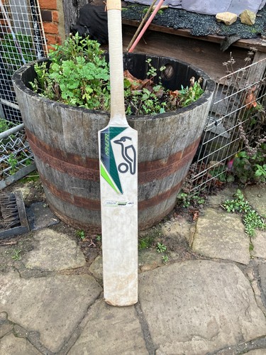 Kookaburra kahuna prodigy - kookaburra,