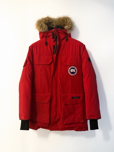 Canada goose expedition - goose,