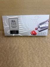 Winsor & Newton Professional Acrylic Colour Set (12 x 20ml)