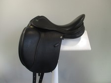 Prestige Lucky Idol Dressage