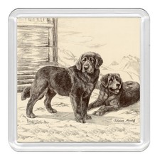 TIBETAN MASTIFF Dog Acrylic