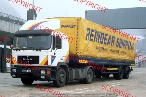 Truck photo reindear - photo,