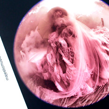 BEAUTIFUL ORIGINAL TIM WALKER 2018 EXHIBITION POSTER