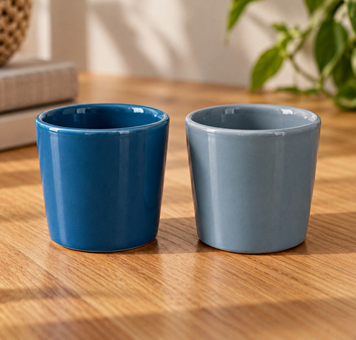 Pair small ceramic plant - pair,