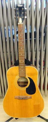 Tokai acoustic 155 - tokai,