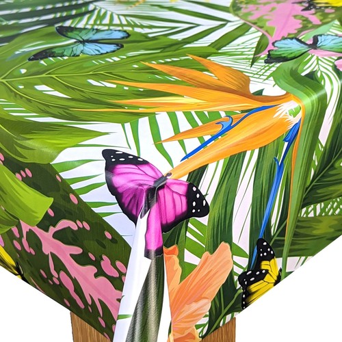 Tropical rainforest - tropical,