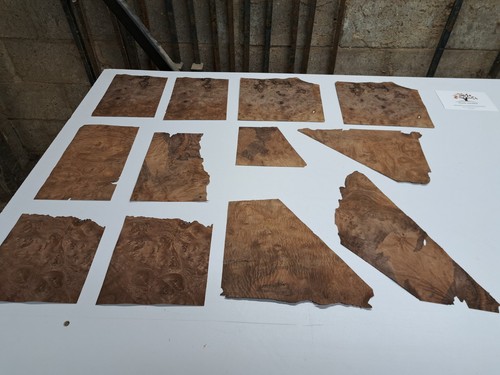 Burr walnut veneer sheets - sheets, –