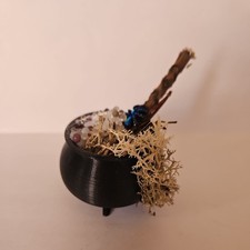 Dolls House Miniatures -