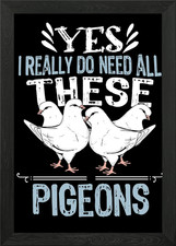 King Pigeon Breeding Gift