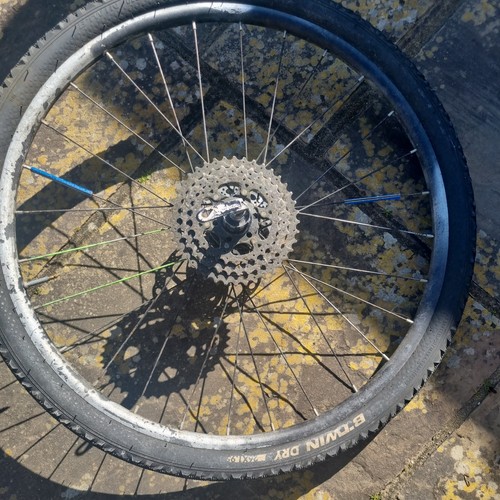 Belt drive bike back - drive, wheel