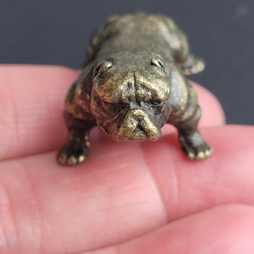 French bulldog miniature - miniature, solid