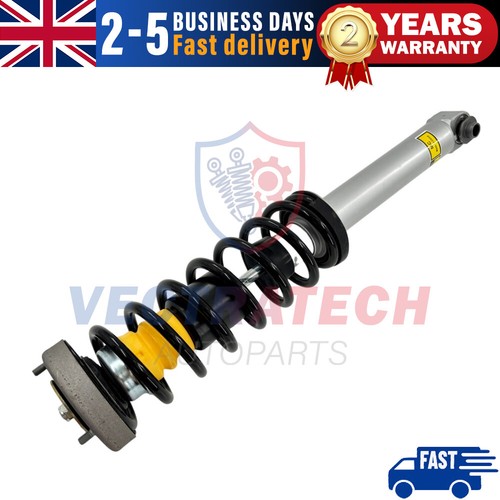 Rear shock strut - rear, assembly