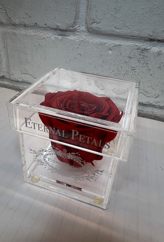 Eternal petals real red - eternal,