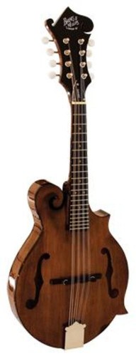 Barnes mullins salvino - &,
