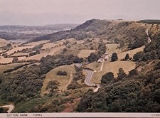 Vintage Postcard Sutton Bank