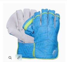 2026 newbery cricket pulse - 2026,
