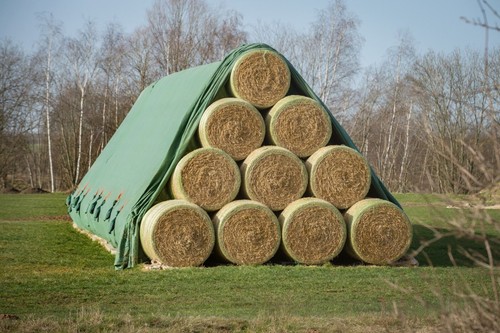 Toptex crop and hay - and, bale