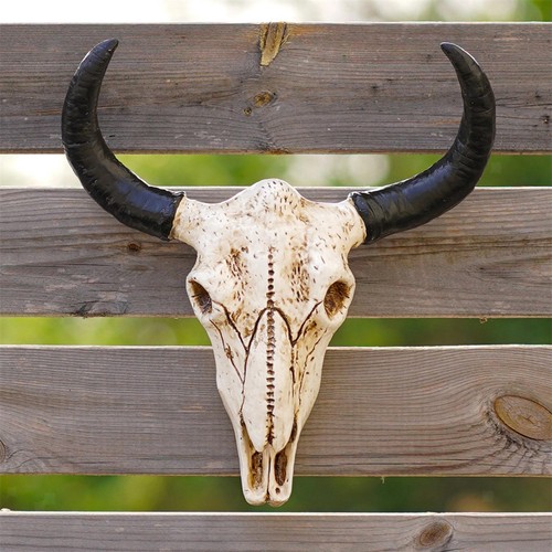 Bull skull sculpture - bull,