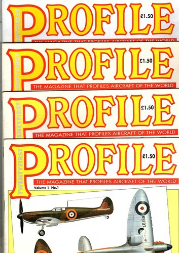 Twenty first profile - twenty,