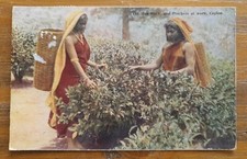 Ceylon Tea Workers Postcard Used With 6d KGV Stamp