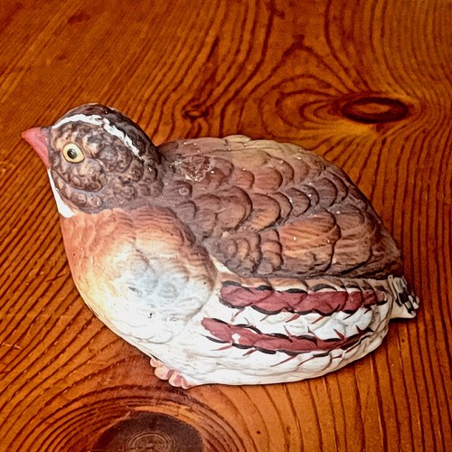 Bird ornament - bird,