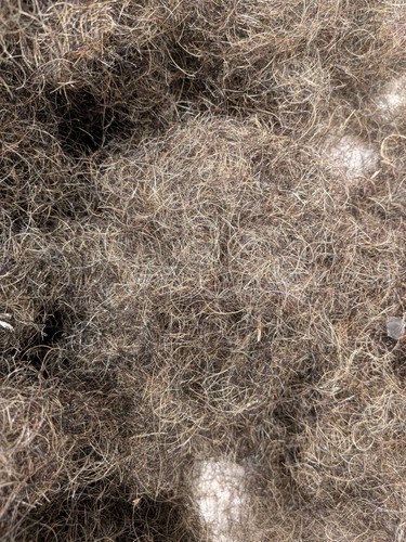 Horse hair stuffing for - horse,