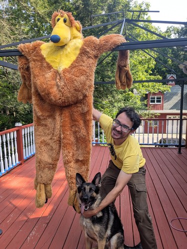 Disney bear the big - the,