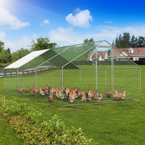 Heavy duty walk poultry - duty,