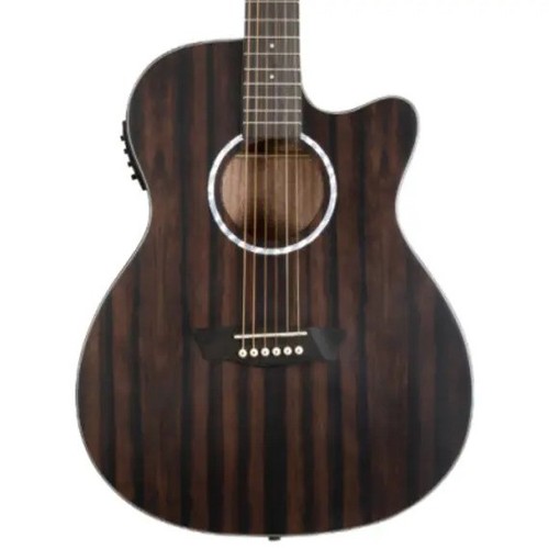 Washburn deep forest ebony ace - deep,