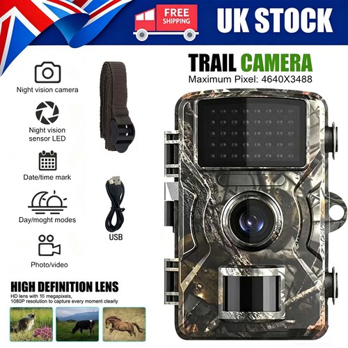 Outdoor wildlife trail - trail, camera