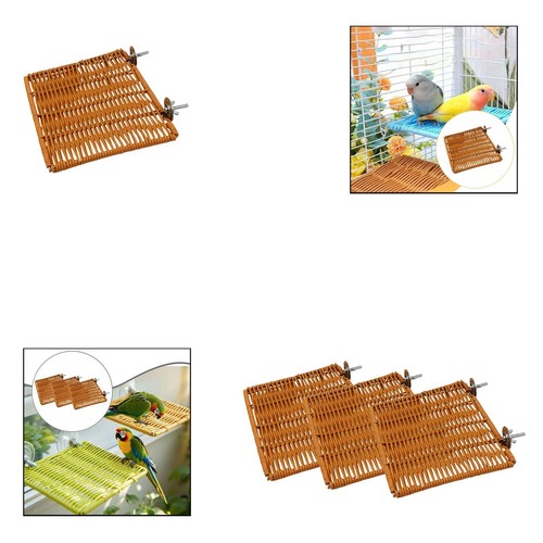 Bird perch stand playing - perch,