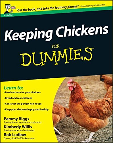 Keeping chickens for dummies - for,